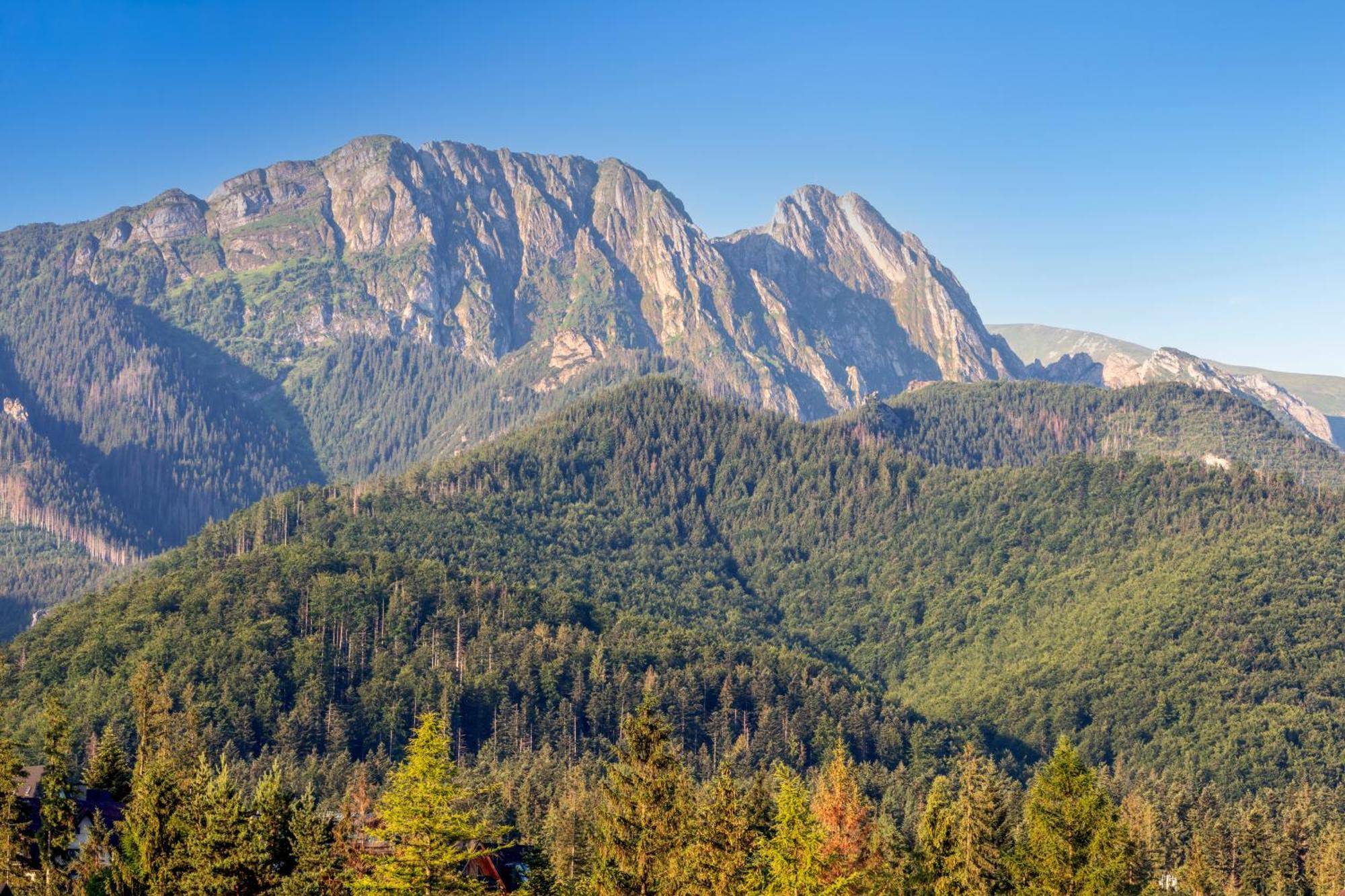 Rzemieslnik Zakopane